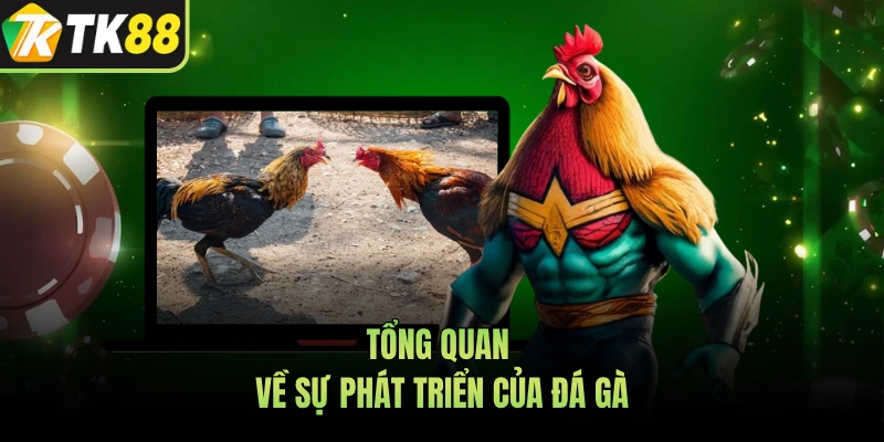 Tổng quan về sự phát triển của đá gà